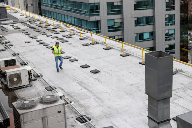 Best Solar Panel Roofing Installation  in North East, MD