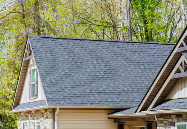 Professional Roofing Service in North East, MD