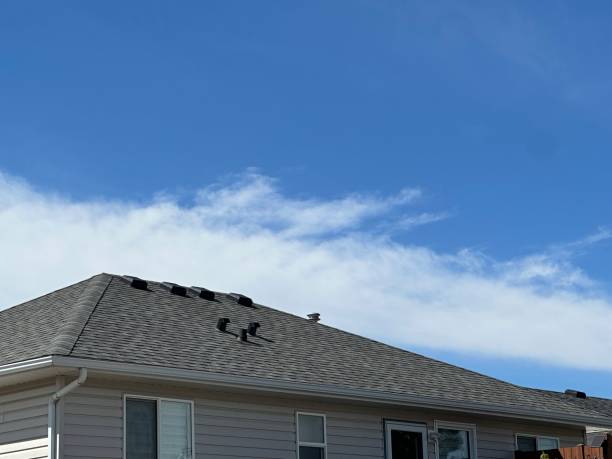 Best Roof Leak Repair  in North East, MD