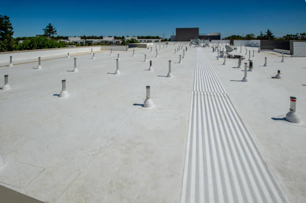 Best Steel Roofing  in North East, MD